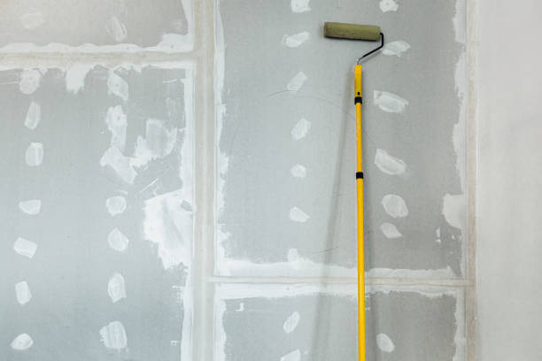 Best Black Mold Removal  in USA